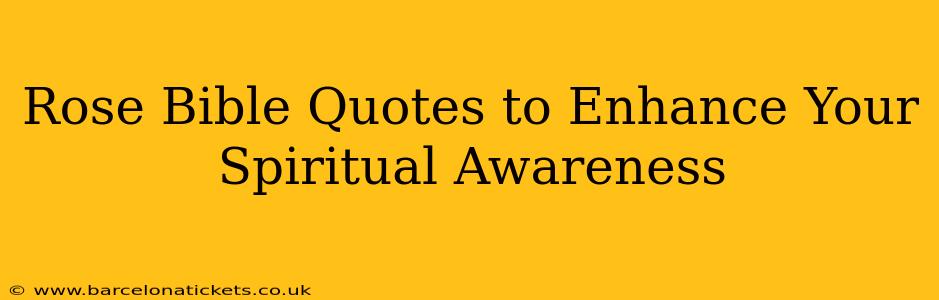 Rose Bible Quotes to Enhance Your Spiritual Awareness