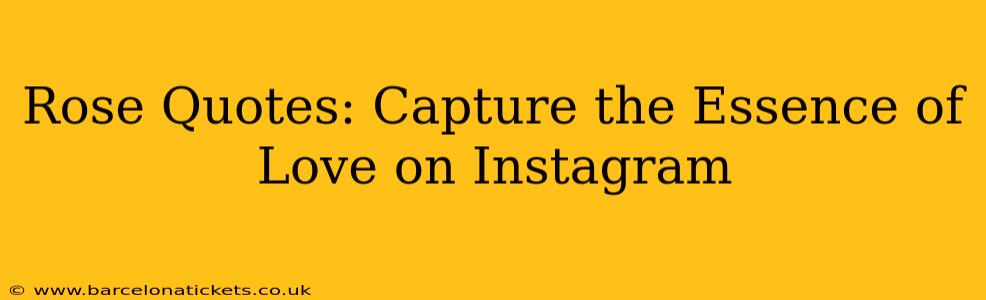 Rose Quotes: Capture the Essence of Love on Instagram