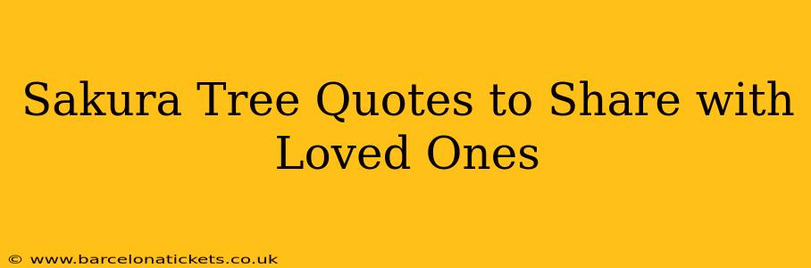 Sakura Tree Quotes to Share with Loved Ones