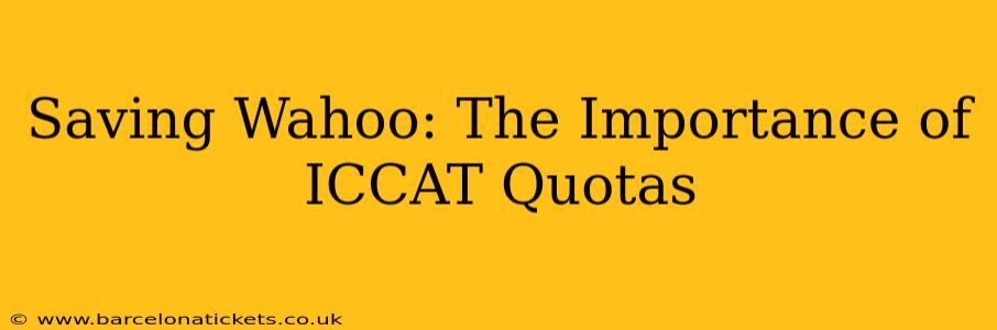 Saving Wahoo: The Importance of ICCAT Quotas
