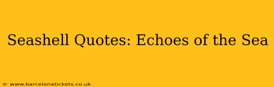 Seashell Quotes: Echoes of the Sea