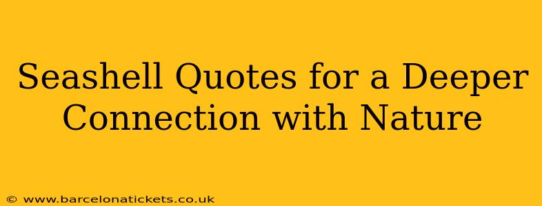 Seashell Quotes for a Deeper Connection with Nature