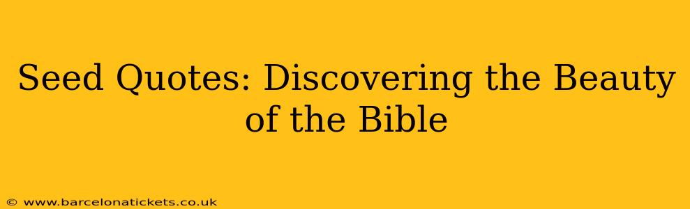 Seed Quotes: Discovering the Beauty of the Bible