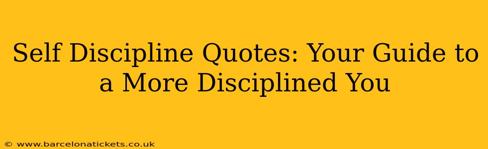 Self Discipline Quotes: Your Guide to a More Disciplined You