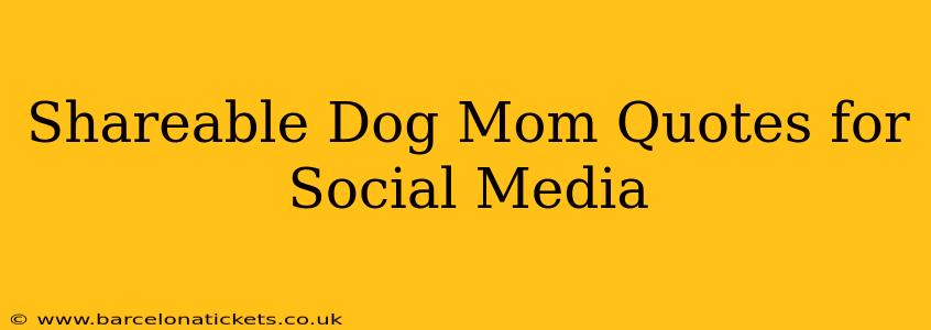 Shareable Dog Mom Quotes for Social Media