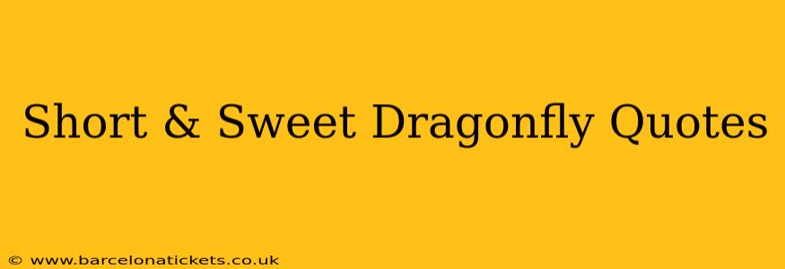 Short & Sweet Dragonfly Quotes