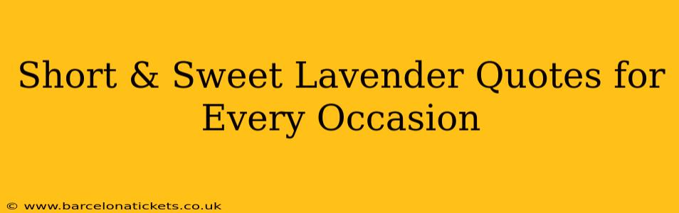 Short & Sweet Lavender Quotes for Every Occasion