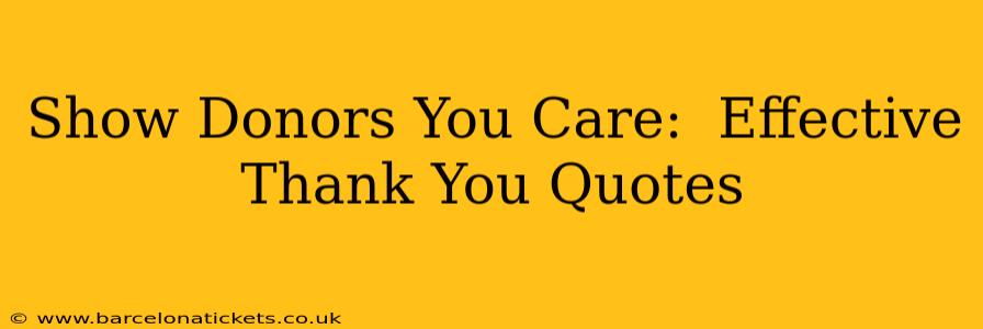 Show Donors You Care:  Effective Thank You Quotes