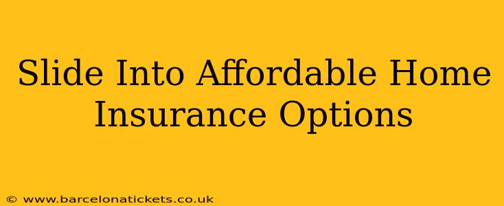 Slide Into Affordable Home Insurance Options