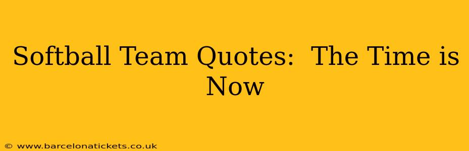 Softball Team Quotes:  The Time is Now
