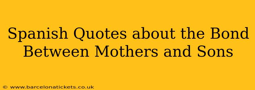 Spanish Quotes about the Bond Between Mothers and Sons