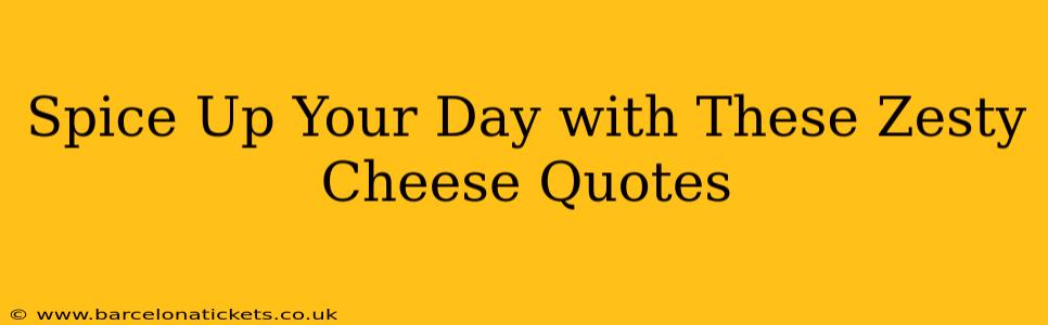Spice Up Your Day with These Zesty Cheese Quotes