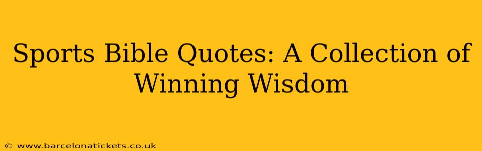 Sports Bible Quotes: A Collection of Winning Wisdom
