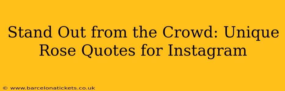 Stand Out from the Crowd: Unique Rose Quotes for Instagram