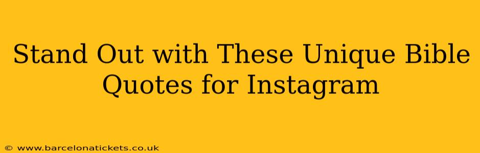 Stand Out with These Unique Bible Quotes for Instagram