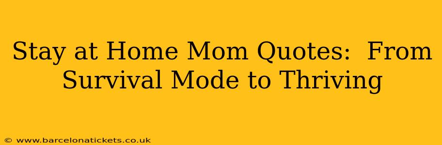 Stay at Home Mom Quotes:  From Survival Mode to Thriving
