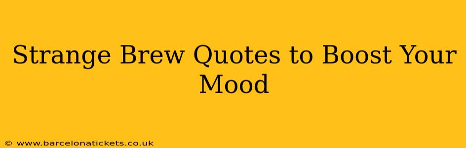 Strange Brew Quotes to Boost Your Mood