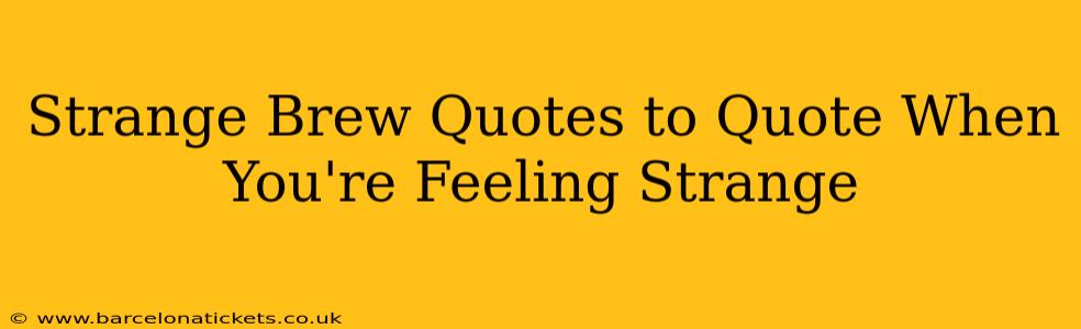 Strange Brew Quotes to Quote When You're Feeling Strange