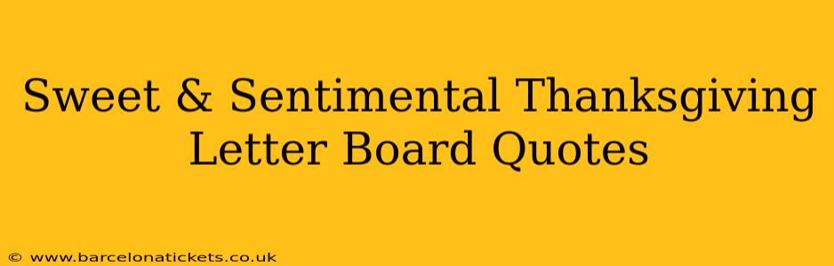 Sweet & Sentimental Thanksgiving Letter Board Quotes