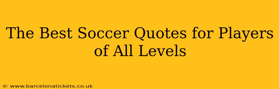 The Best Soccer Quotes for Players of All Levels