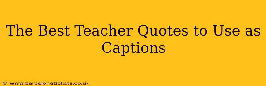 The Best Teacher Quotes to Use as Captions