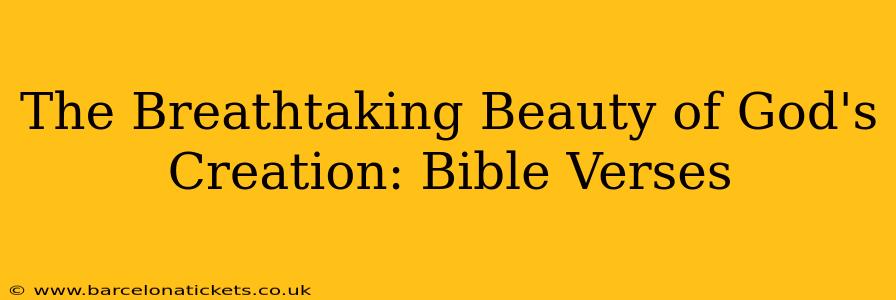 The Breathtaking Beauty of God's Creation: Bible Verses