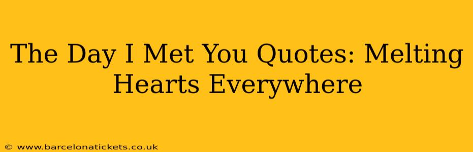The Day I Met You Quotes: Melting Hearts Everywhere