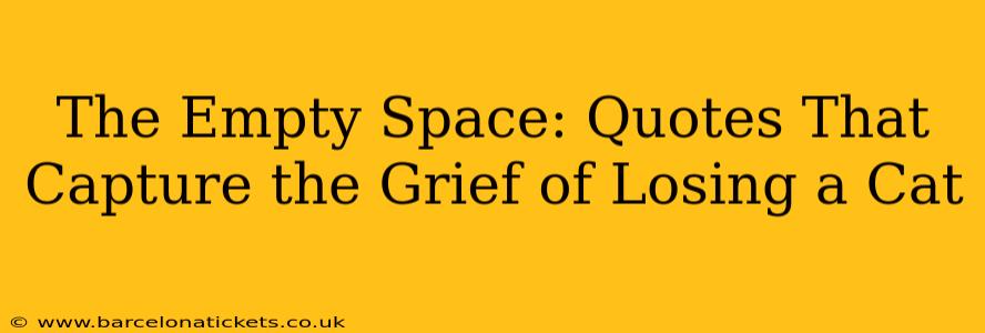 The Empty Space: Quotes That Capture the Grief of Losing a Cat