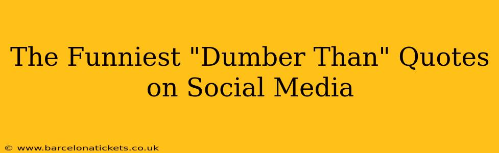 The Funniest "Dumber Than" Quotes on Social Media