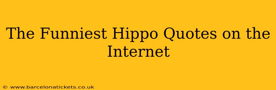 The Funniest Hippo Quotes on the Internet