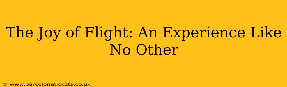 The Joy of Flight: An Experience Like No Other