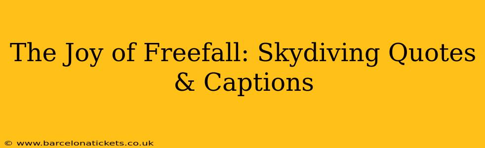 The Joy of Freefall: Skydiving Quotes & Captions