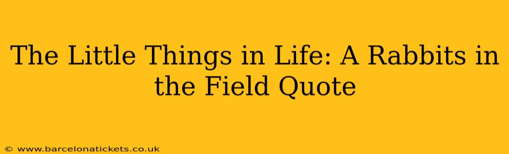 The Little Things in Life: A Rabbits in the Field Quote