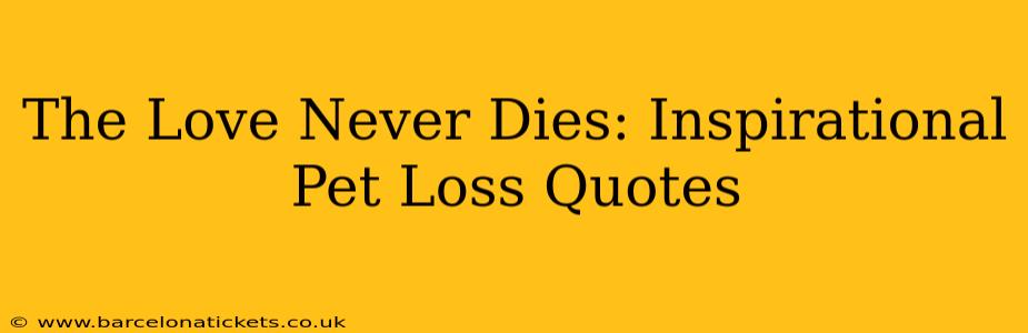 The Love Never Dies: Inspirational Pet Loss Quotes