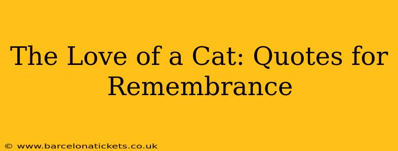 The Love of a Cat: Quotes for Remembrance