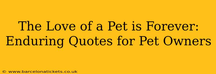The Love of a Pet is Forever: Enduring Quotes for Pet Owners