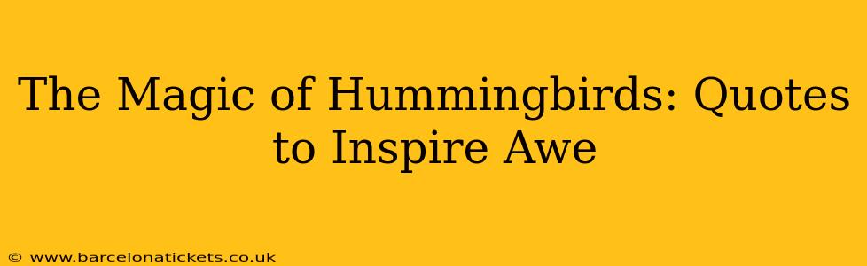 The Magic of Hummingbirds: Quotes to Inspire Awe