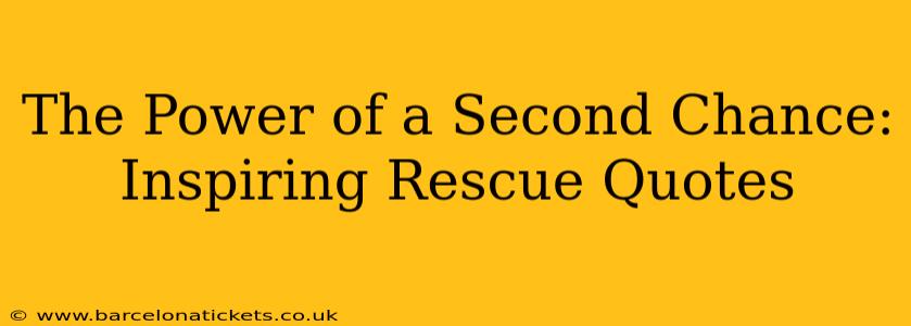 The Power of a Second Chance: Inspiring Rescue Quotes