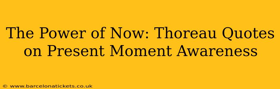 The Power of Now: Thoreau Quotes on Present Moment Awareness
