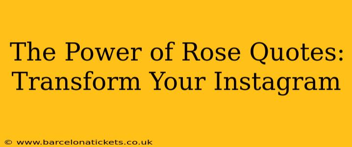 The Power of Rose Quotes: Transform Your Instagram