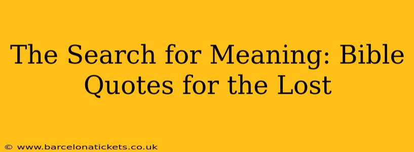 The Search for Meaning: Bible Quotes for the Lost