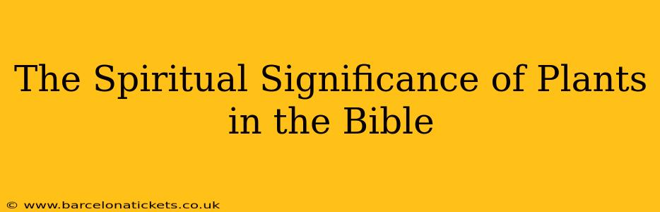 The Spiritual Significance of Plants in the Bible