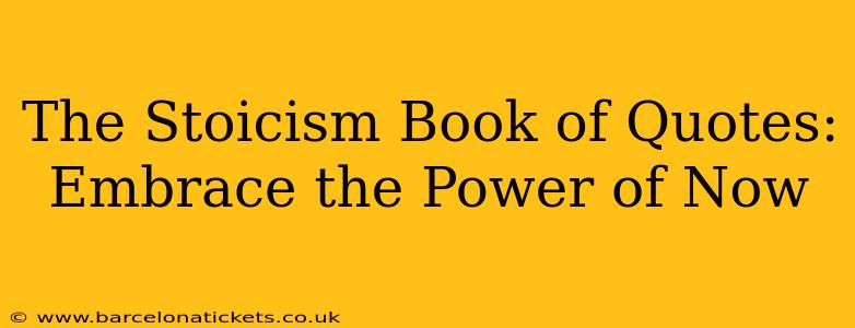 The Stoicism Book of Quotes:  Embrace the Power of Now