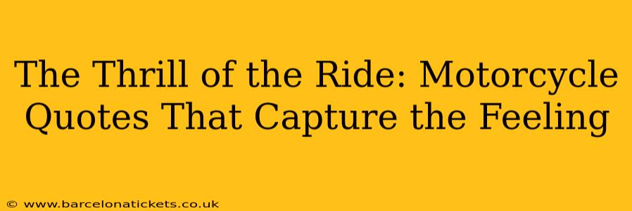 The Thrill of the Ride: Motorcycle Quotes That Capture the Feeling