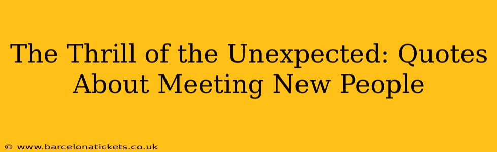 The Thrill of the Unexpected: Quotes About Meeting New People