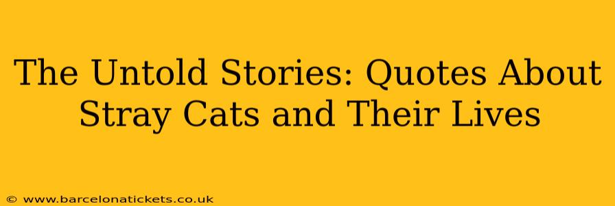 The Untold Stories: Quotes About Stray Cats and Their Lives