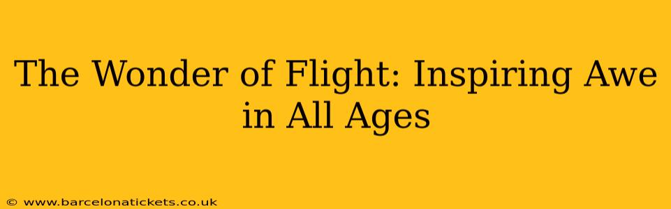 The Wonder of Flight: Inspiring Awe in All Ages