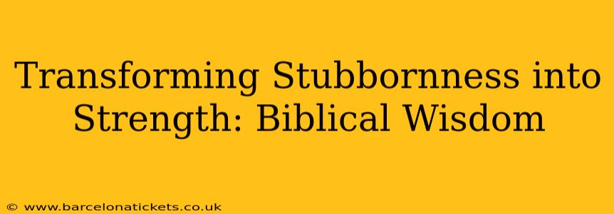 Transforming Stubbornness into Strength: Biblical Wisdom