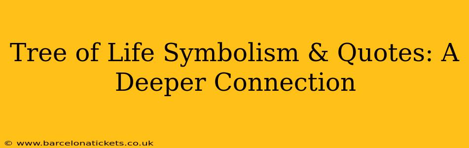 Tree of Life Symbolism & Quotes: A Deeper Connection
