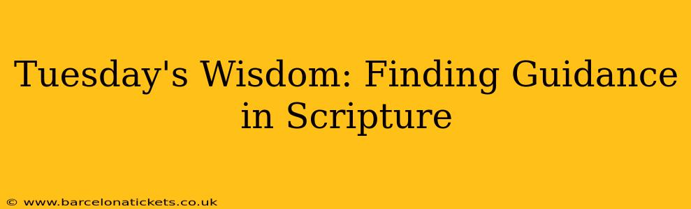 Tuesday's Wisdom: Finding Guidance in Scripture